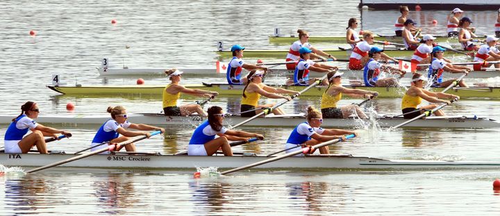 탄금호 국제조정경기장 *재판매 및 DB 금지