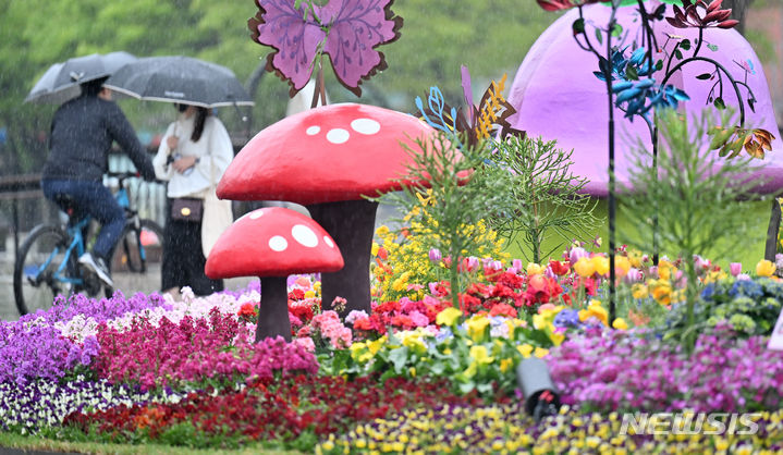 [인천=뉴시스] 전진환 기자 = 노동절인 5월1일 수요일은 전국이 구름 많다가 차차 맑아지겠다. 전라, 경상권을 중심으론 약한 비가 내리는 곳도 있겠다. 사진은 전국적으로 봄비가 내리는 지난달 15일 오전 인천시청 앞 화단에 봄비가 내리는 모습. 2024.04.15. amin2@newsis.com