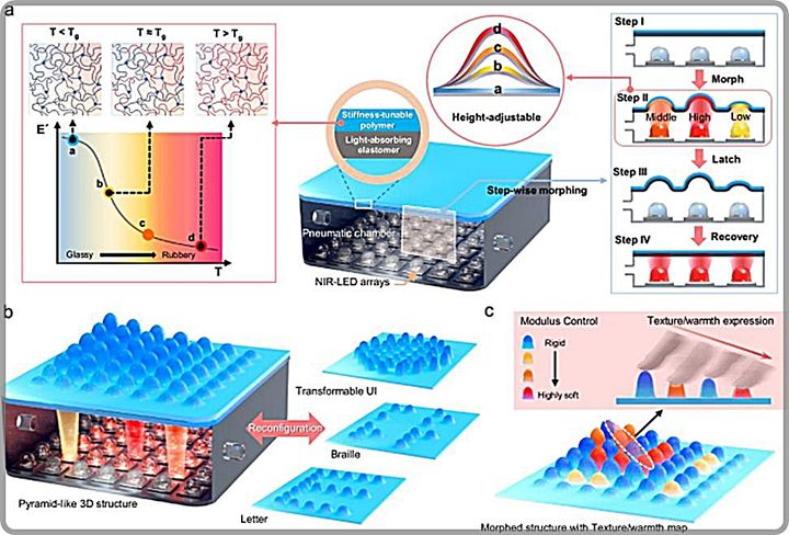 [대전=뉴시스] 촉각 디스플레이 구조와 동작원리.(사진=ETRI 제공) *재판매 및 DB 금지