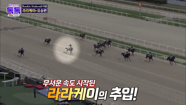 [서울=뉴시스] 경주 막판 놀라운 역전극을 보여준 경마 대회 영상이 화제가 되고 있다. (사진=한국마사회 경마방송 KRBC 유튜브 캡처) *재판매 및 DB 금지