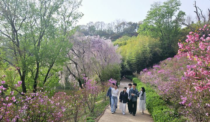 에버랜드 하늘정원길. 박주연 기자 photo@newsis.com *재판매 및 DB 금지