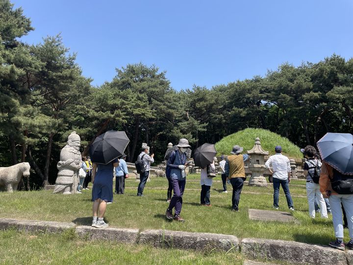 [서울=뉴시스] 2023년 '동구릉 나무이야기' (사진=문화재청 제공) 2024.04.19. photo@newsis.com *재판매 및 DB 금지