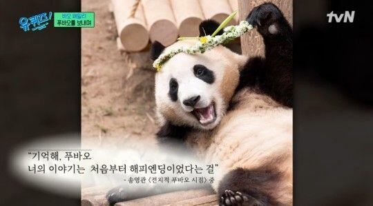 [서울=뉴시스] 영화 주제는 푸바오와의 이별을 준비하고 겪는 과정이 담긴 바오 가족의 이야기인 것으로 전해졌다 (사진=tvN '유 퀴즈 온 더 블럭' 갈무리) *재판매 및 DB 금지