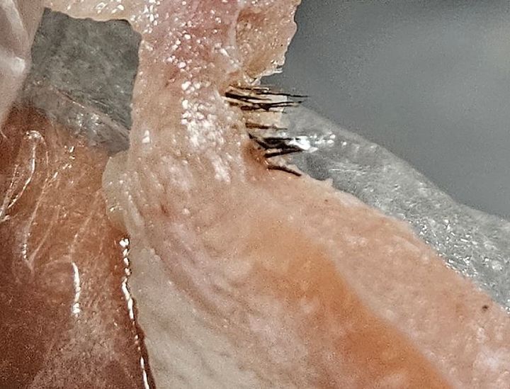 [서울=뉴시스]프랜차이즈 국밥집 점주가 본사에서 받은 고기의 상태가 좋지 않다며 하소연했다.(사진=온라인 커뮤니티 '아프니까 사장이다' 캡처) *재판매 및 DB 금지