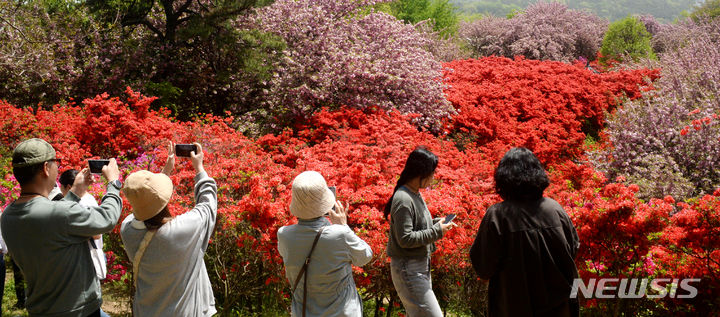 [전주=뉴시스] 김얼 기자 = 전북 전주시 완산구 완산공원 꽃동산을 찾은 시민들이 활짝 핀 겹벚꽃과 철쭉을 바라보며 봄나들이를 즐기고 있다. 2024.04.18. pmkeul@newsis.com