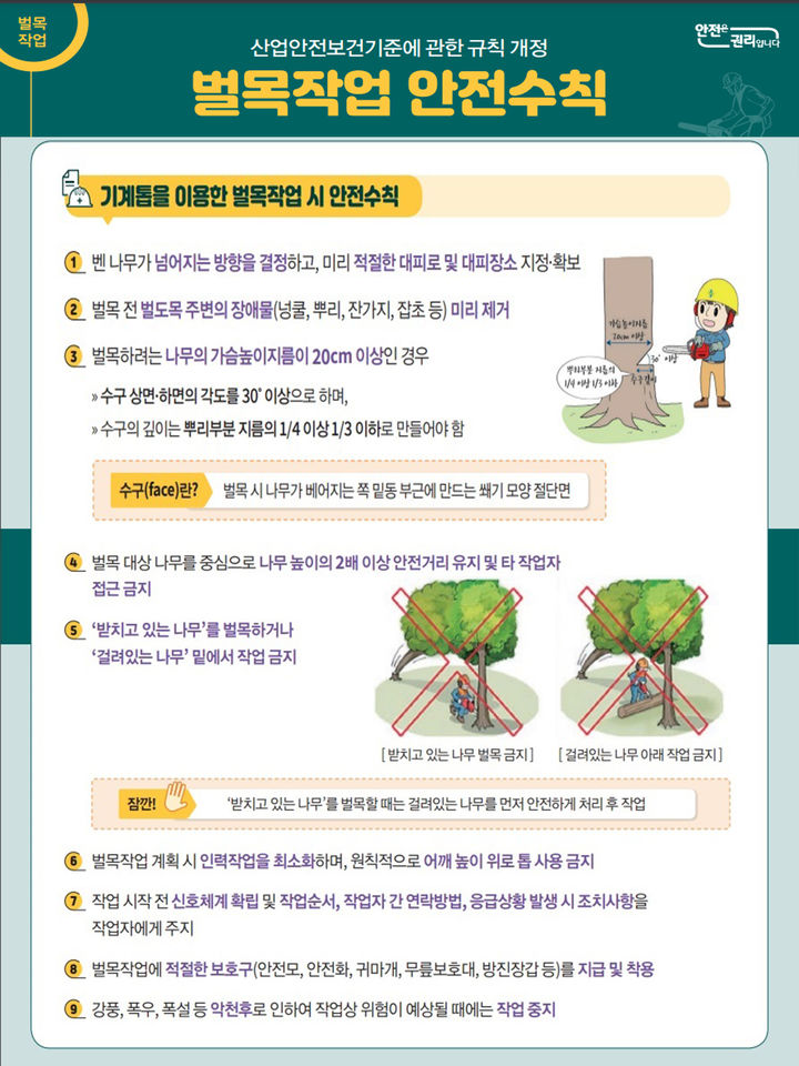 봄철 벌목 근로자 사망사고 속출 "안전수칙 꼭 지켜야" 