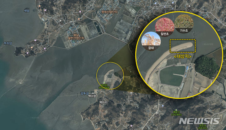 [화성=뉴시스] 화성시 블루카본 시범사업 대상지 위치도(사진=화성시 제공)2024.04.19.photo@newsis.com