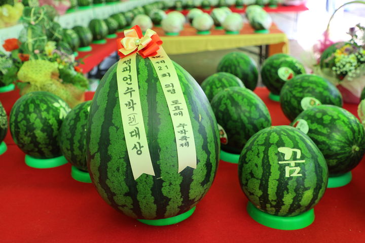 [의령=뉴시스]의령홍의장군축제, 토요애 수박 전시.2024.04.20.(사진=의령군 제공) photo@newsis.com *재판매 및 DB 금지