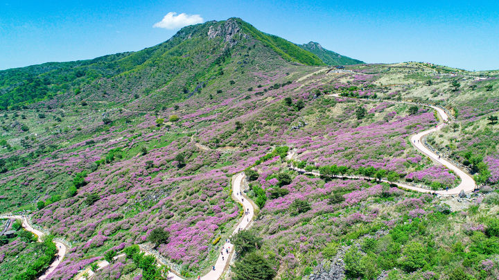 [산청=뉴시스] 산청군청 산청 황매산 무장애길 *재판매 및 DB 금지 *재판매 및 DB 금지