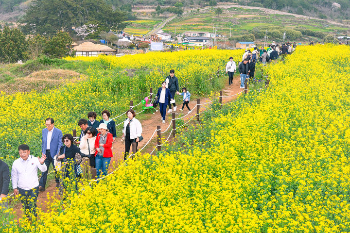 [광주=뉴시스] 완도군은 22일 아시아 최초 슬로시티, 청산도에서 열린 '2024 청산도 슬로걷기축제'가 성황리에 마무리됐다고 밝혔다. (사진=완도군 제공). 2024.04.22. photo@newsis.com *재판매 및 DB 금지