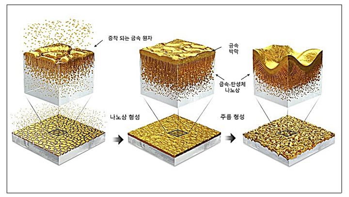 [대전=뉴시스] 금속-나노상 형성 과정. 증착되는 금속원자와 탄성체 기판의 저분자량 분자 간 속도차이로 금속-탄성체 나노상이 형성된다. 이어 탄성체 기판과 계면에 형성된 금속-탄성체 나노상 층간의 기계적 불안정성 해소를 위해 마이크로 표면 주름이 자발적으로 형성된다.(사진=한국기술교육대학교 채수상 교수 제공)  *재판매 및 DB 금지