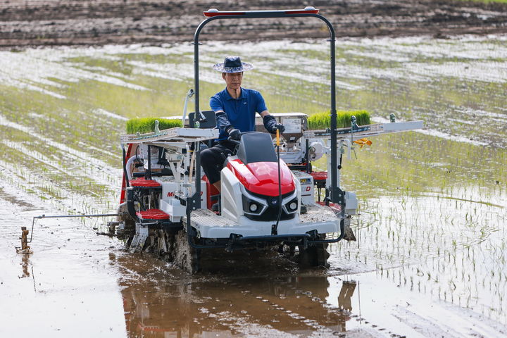 예천군 개포면 경진리 일원에서 23일 올해 첫모내기를 하고 있다. (사진=예천군 제공) *재판매 및 DB 금지