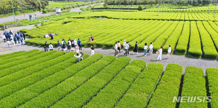 [서귀포=뉴시스] 우장호 기자 = 맑은 날씨를 보인 25일 오전 제주 서귀포시 안덕면 오설록 녹차밭을 찾은 수학여행단과 관광객들이 산책을 하며 즐거운 시간을 보내고 있다. 2024.04.25. woo1223@newsis.com