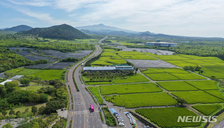 [서귀포=뉴시스] 우장호 기자 = 맑은 날씨를 보인 25일 오전 제주 서귀포시 안덕면 오설록 녹차밭을 찾은 수학여행단과 관광객들이 산책을 하며 즐거운 시간을 보내고 있다. 2024.04.25. woo1223@newsis.com