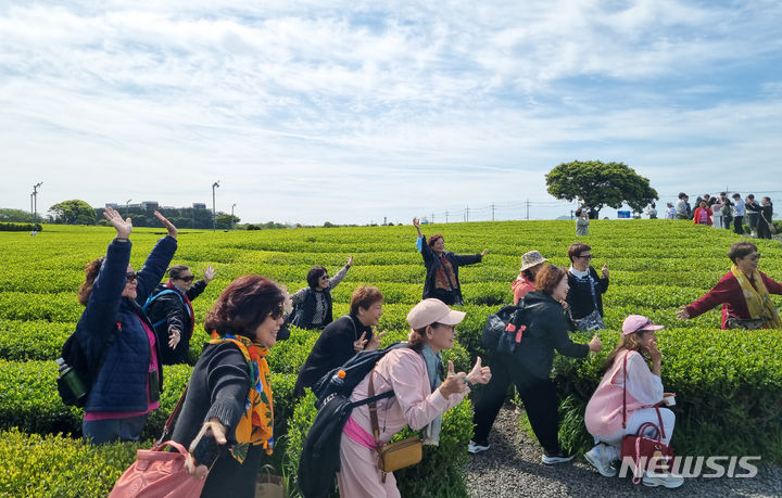 [서귀포=뉴시스] 우장호 기자 = 맑은 날씨를 보인 25일 오전 제주 서귀포시 안덕면 오설록 녹차밭을 찾은 외국인 단체관광객들이 기념촬영을 하며 즐거운 시간을 보내고 있다. 2024.04.25. woo1223@newsis.com