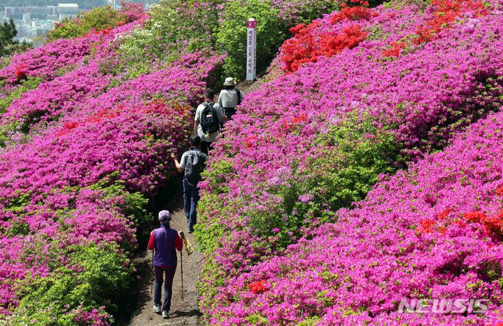 "엄마가 등산하다 만난 남친, 자꾸 돈 빌려…사기꾼 같은데 결혼한다네요"
