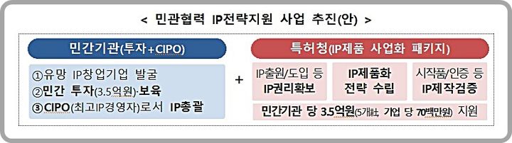 [대전=뉴시스] 특허청의 '2024년 민관협력 IP전략지원 사업' 추진 개요도.(사진=특허청 제공) *재판매 및 DB 금지