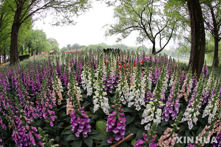 근로자의날 충북, 낮부터 맑아져…최고 23도