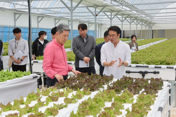 [포항=뉴시스] 강진구 기자 = 이강덕 포항시장이 26일 오후 기계면 상추 분무수경재배 현장을 찾아 청년 농업인을 격려했다.(사진=포항시 제공) 2024.04.27.photo@newsis.com   *재판매 및 DB 금지