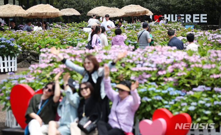 [서귀포=뉴시스] 우장호 기자 = 제주 서귀포시 남원읍 휴애리자연생활공원을 찾은 나들이객이 활짝 피어난 수국을 감상하며 즐거운 시간을 보내고 있다. 뉴시스DB. woo1223@newsis.com