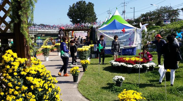 [대구=뉴시스] 지난해 불로화훼단지 봄꽃축제 사진. (사진=대구시 동구 제공) 2024.04.29. photo@newsis.com *재판매 및 DB 금지