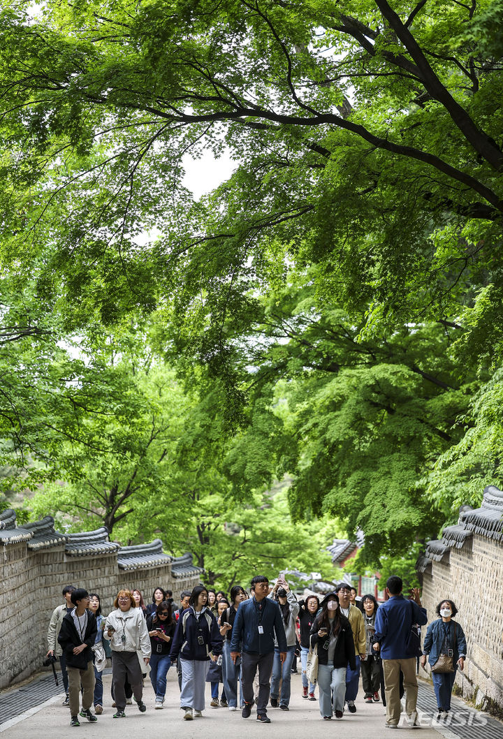 [서울=뉴시스] 정병혁 기자 = 29일 서울 종로구 창덕궁에서 열린 2024 봄 궁중문화축전-이시우 작가와 함께 하는 ‘아침 궁을 깨우다’를 찾은 시민들이 창덕궁 후원을 걷고 있다. 2024.04.29. jhope@newsis.com
