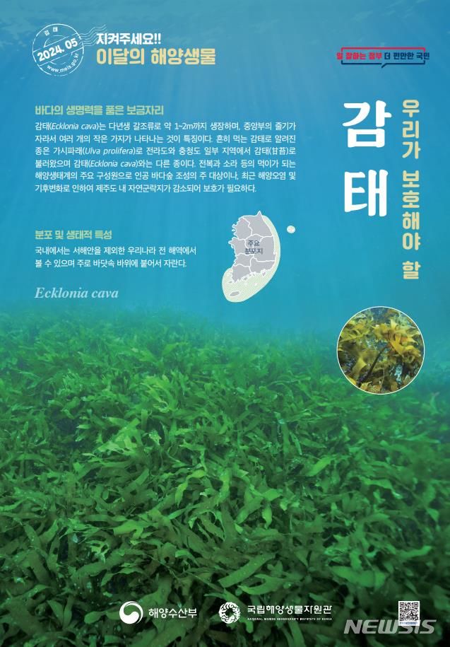 [서울=뉴시스] 5월 해양생물.