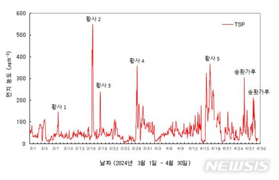[청주=뉴시스] 연종영 기자 = 30일 충북 청주의 기상청 위탁관측기관 고려대기환경연구소가 3월 초~4월 말 기간의 황사와 송홧가루 발생일 등을 분석했다. (그래픽=고려대기환경연구소 제공) 2024.04.30. jyy@newsis.com