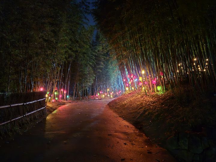 담양 대나무축제 야간 경관. (사진=담양군 제공) *재판매 및 DB 금지