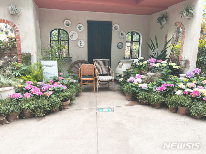 [서울=뉴시스]서울식물원은 오는 4일부터 온실에서 다양한 품종의 수국을 전시하는 '낭만수국전'을 개최한다고 3일 밝혔다. (사진=서울시 제공). 2024.05.03. photo@newsis.com 