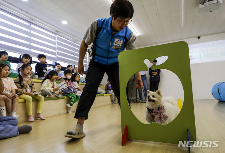 [서울=뉴시스] 정병혁 기자 = 2일 서울 구로구 서울시의 첫 번째 지역연계형 늘봄학교인 서울시 거점 4호 키움센터에서 서울매봉초등학교와 서울오류남초등학교 학생들이 반려동물 교감 프로그램에 참여하고 있다. 2024.05.02. jhope@newsis.com