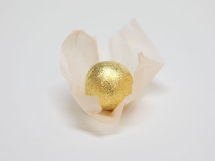 [서울=뉴시스] 4일 한의계에 따르면 마동석은 실제 생활에서도 공진단을 복용하는 것으로 알려졌으며, BTS 정국과 르세라핌 공진단을 챙겨먹는 것으로 알려졌다. (사진=자생한방병원 제공) 2024.05.03. photo@newsis.com *재판매 및 DB 금지