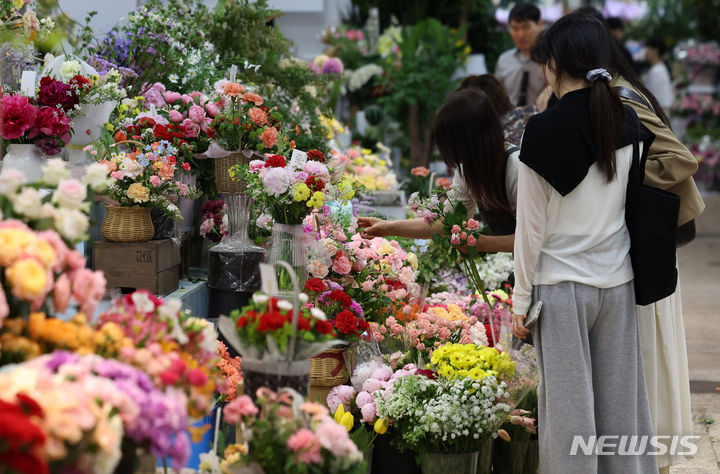 [서울=뉴시스] 추상철 기자 = 어버이날을 이틀 앞둔 6일 오전 서울 서초구 양재꽃시장에서 시민들이 카네이션을 고르고 있다. 2024.05.06. scchoo@newsis.com