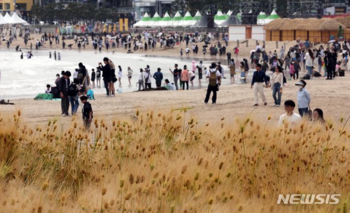 [부산=뉴시스] 하경민 기자 = 6일 부산 수영구 광안리해수욕장을 찾은 시민과 관광객들이 황금보리밭을 구경하며 봄나들이를 즐기고 있다. 2024.05.06. yulnetphoto@newsis.com