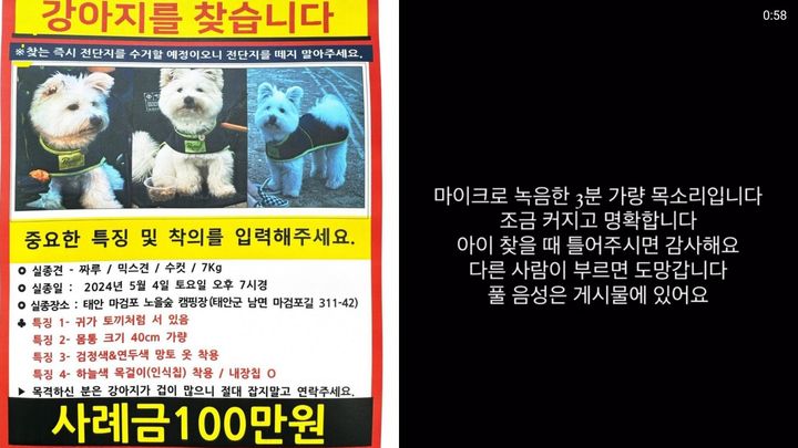[서울=뉴시스] 유튜버 짜루캠핑은 지난 5일 인스타그램에 위 게시물을 올렸다 (사진= 짜루캠핑 인스타그램 캡처 ) 2024.5.7. photo@newsis.com *재판매 및 DB 금지
