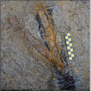 [서울=뉴시스] 경주 사라리 유적 덧널무덤 출토 칠초칠검 (사진=한국문화재재단 제공) 2024.05.08. photo@newsis.com *재판매 및 DB 금지