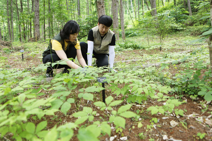 [대전=뉴시스] 국립산림과학원이 산양산을 연구하고 있다. *재판매 및 DB 금지