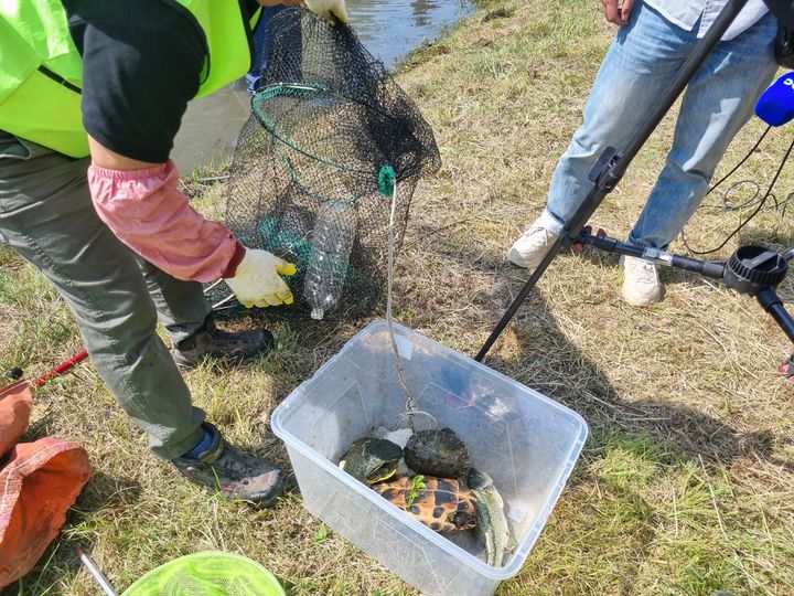 [목포=뉴시스] 영산강유역환경청 공무원들과 야생생물관리협회가 전남 목포시 옥암지구 내 녹지공원에서 생태계 교란생물 퇴치 작업을 하고 있다. (사진=영산강환경청 제공) 2024.05.09. photo@newsis.com&nbsp; *재판매 및 DB 금지