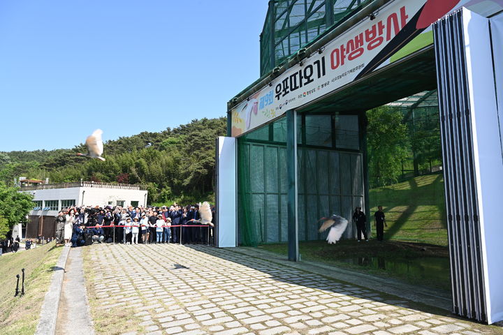 [창녕=뉴시스] 창녕군이 제9회 우포따오기 야생 방사를 하고 있다. (사진=창녕군 제공) 2024.05.11. photo@newsis.com *재판매 및 DB 금지