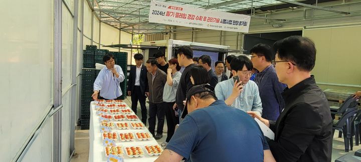 [진주=뉴시스] 경남농업기술원, 딸기 클레임 경감 수확 후 관리기술 시범사업 평가회.(사진=경남농업기술원 제공).2024.05.11.photo@newsis.com *재판매 및 DB 금지