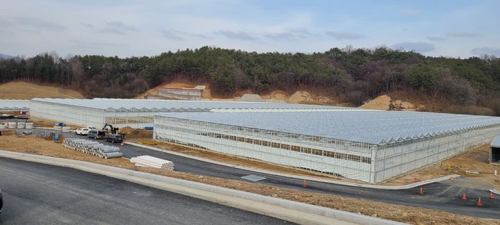 제천에 조성 중인 지역특화 임대형 스마트팜 단지. (사진=충북도 제공) *재판매 및 DB 금지