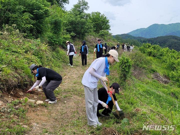 [함양=뉴시스] 11일 경남 함양군 휴천면 일대 산에서 경남과 경북 경산시 대학생봉사자들이 참나무를 심고 있다.(사진=경상남도자원봉사센터 제공) 2024.05.11. photo@newsis.com