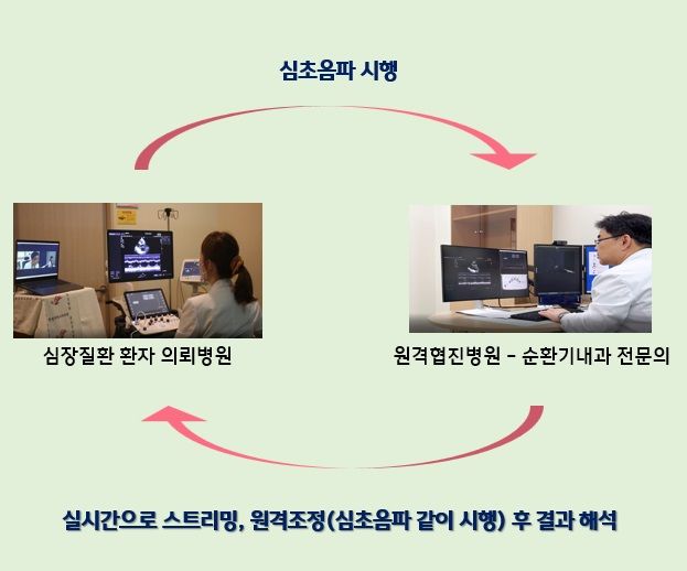 [서울=뉴시스] 한림대학교동탄성심병원은 지난 10일 서울 코엑스에서 열린 ‘제16차 아시아초음파의학회 학술대회(AFSUMB 2024)’에서 국책과제로 개발 중인 심장질환 비대면 원격협진 플랫폼에 대해 발표했다고 13일 밝혔다. (사진=한림대동탄성심병원 제공) 2024.05.13. photo@newsis.com *재판매 및 DB 금지