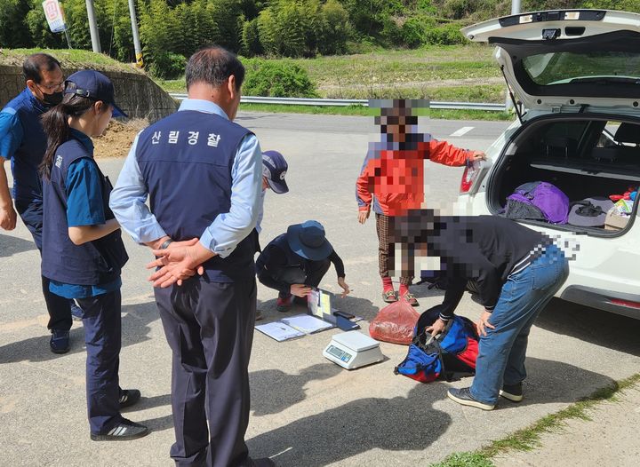 [안동=뉴시스] 임산물 불법채취를 단속하고 있다. (사진=남부산림청 제공) 2026.09.14. photo@newsis.com *재판매 및 DB 금지