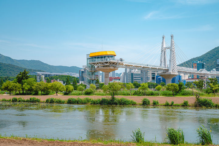 [부산=뉴시스] '2024 밀 페스티벌'(가칭)이 진행될 북구 화명생태공원 연꽃단지 일대. (사진=부산관광공사 제공) 2024.05.17. photo@newsis.com *재판매 및 DB 금지