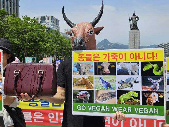 [서울=뉴시스] 오정우 기자 = 한국동물보호연합은 17일 오후 서울 종로구 광화문 이순신 동상 앞에서 이같이 지적하며 "동물은 가죽이 아니다"라고 목소리를 높였다. 이들은 기자회견 후 뿔소 가면을 동물 가죽으로 만든 핸드백에 시뻘건 물감을 뿌리는 퍼포먼스를 선보였다. 2024.05.17. friend@newsis.com *재판매 및 DB 금지