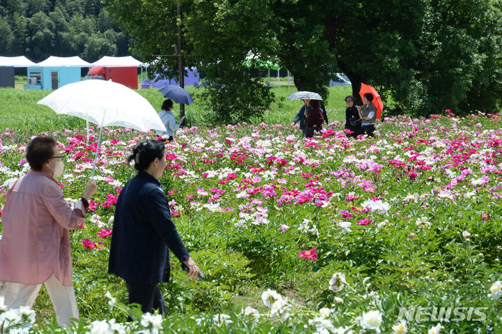 [울산=뉴시스] 배병수 기자 = 지난해 5월 17일 태화강 국가정원 봄꽃축제 모습. 2024.05.17. bbs@newsis.com