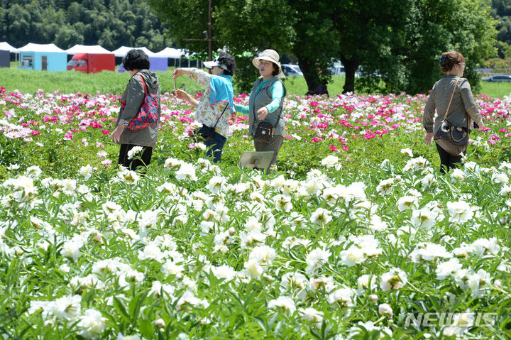 [울산=뉴시스] 배병수 기자 = 태화강 국가정원 봄꽃축제가 17일 울산 중구 태화강 국가정원 왕버들마당 인근에서 열리고 있다. 2024.05.17. bbs@newsis.com
