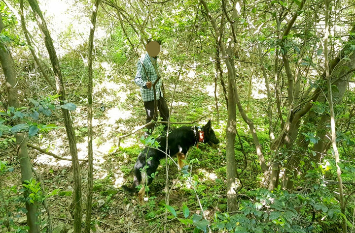 [신안=뉴시스] 실종 치매노인 찾아낸 전남경찰 수색견. (사진=전남경찰청 제공). photo@newsis.com *재판매 및 DB 금지