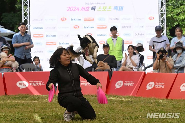 [서울=뉴시스] 사진공동취재단 = 18일 서울 서초구 서초문화예술공원 야외무대에서 열린 '2024 서초 독 스포츠 축제'에서 음악에 맞춰 원반을 던지며 반려견과 호흡하는 '독 디스크 대회'가 진행되고 있다. 2024.05.18. photo@newsis.com